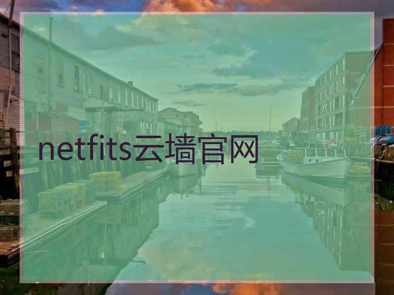 netfits云墙官网