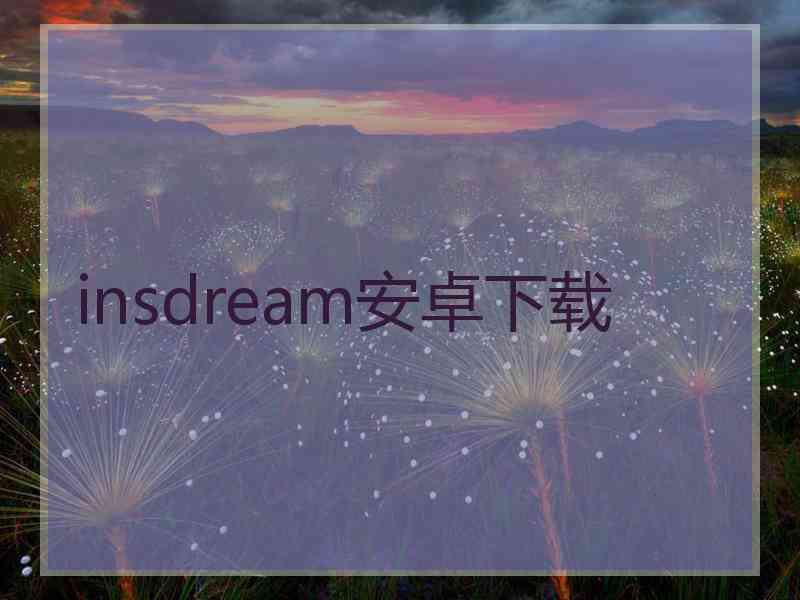 insdream安卓下载