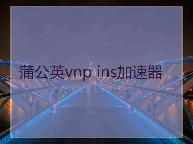 蒲公英vnp ins加速器