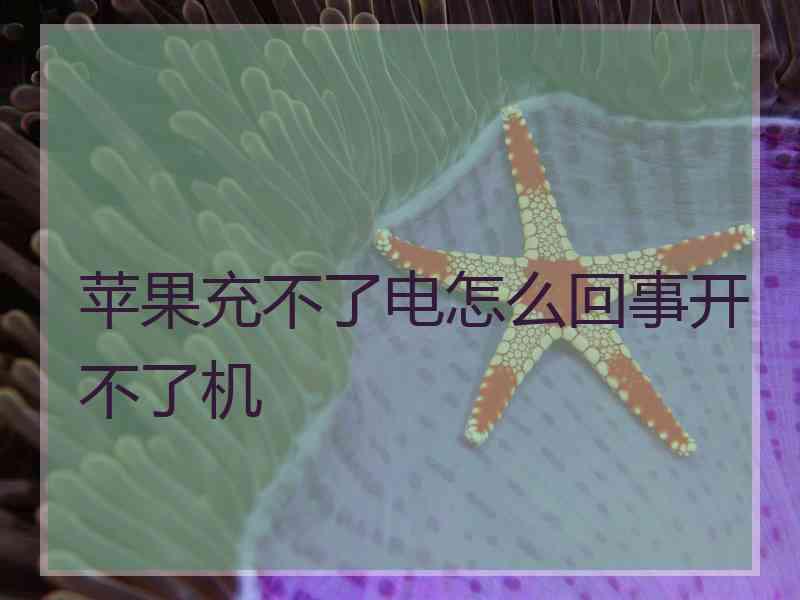 苹果充不了电怎么回事开不了机