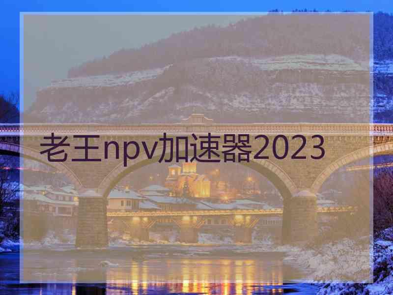 老王npv加速器2023