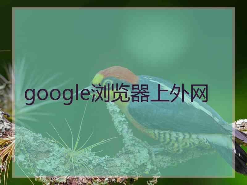 google浏览器上外网