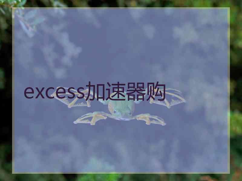 excess加速器购