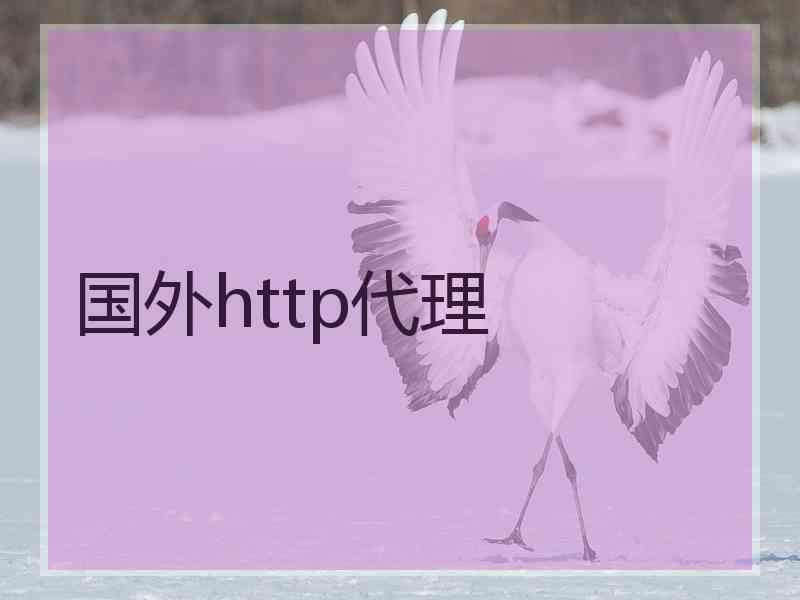 国外http代理