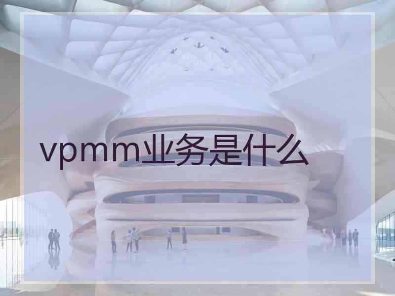 vpmm业务是什么