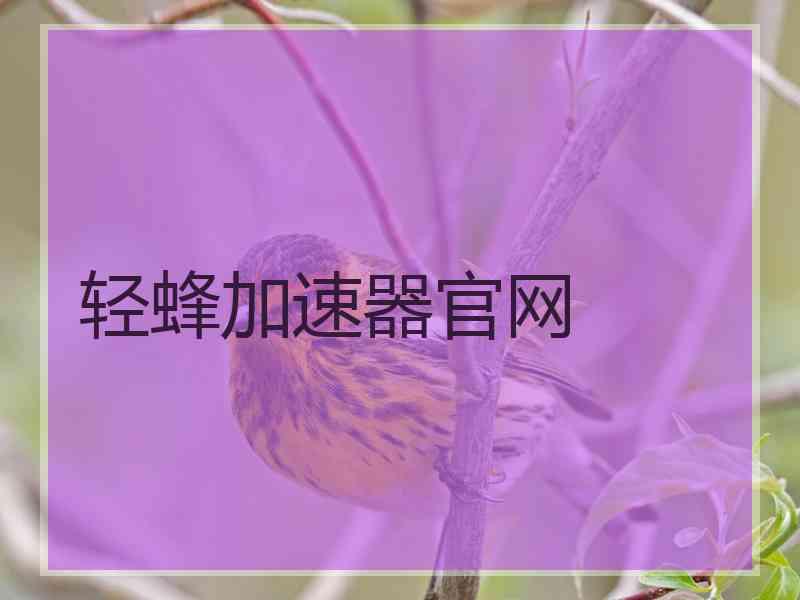 轻蜂加速器官网