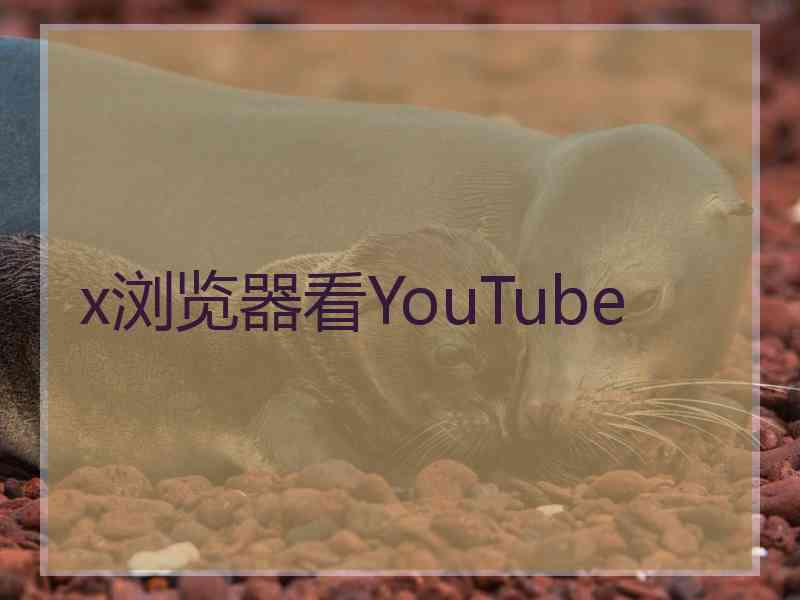 x浏览器看YouTube