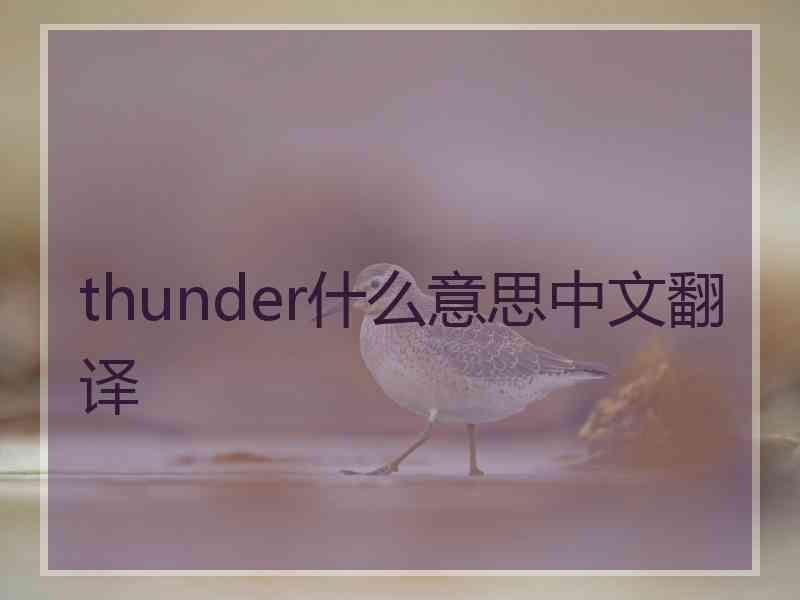 thunder什么意思中文翻译