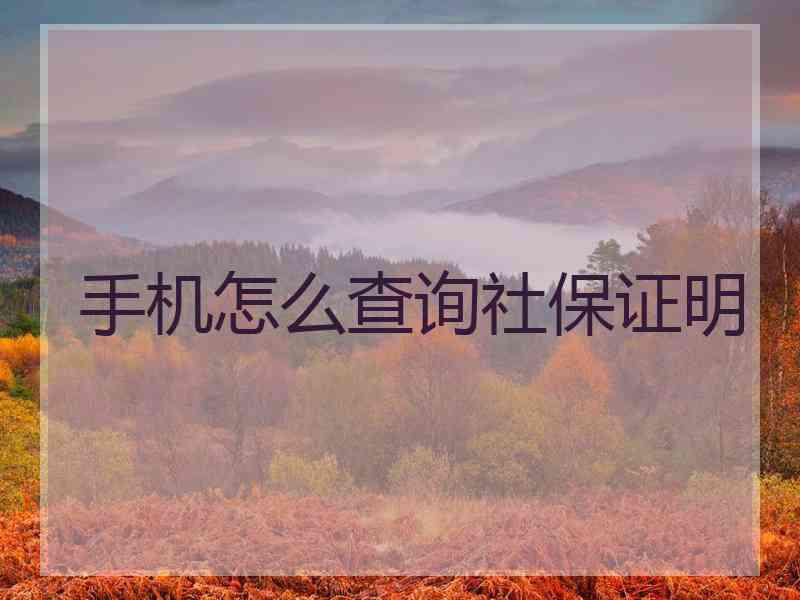 手机怎么查询社保证明