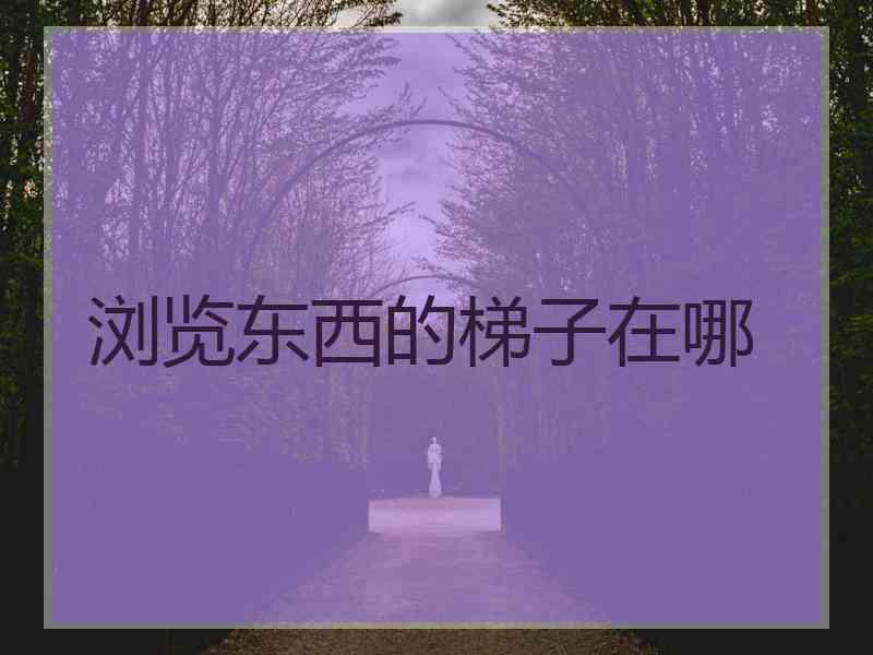 浏览东西的梯子在哪