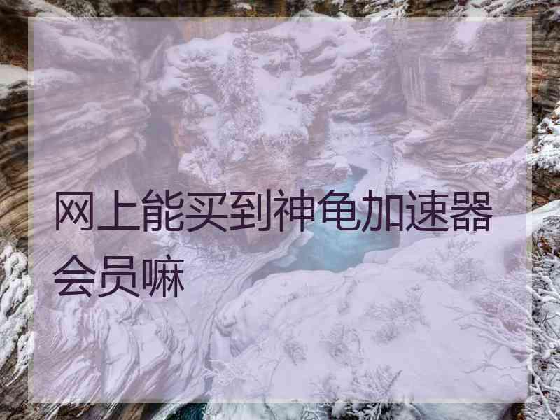 网上能买到神龟加速器会员嘛