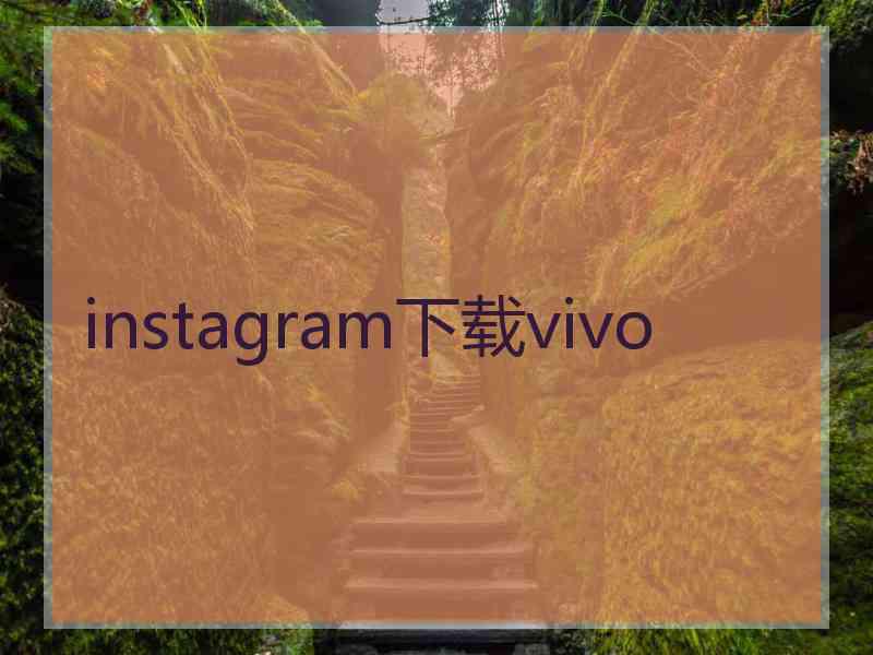 instagram下载vivo