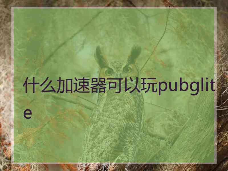 什么加速器可以玩pubglite