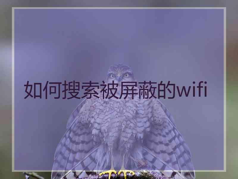 如何搜索被屏蔽的wifi