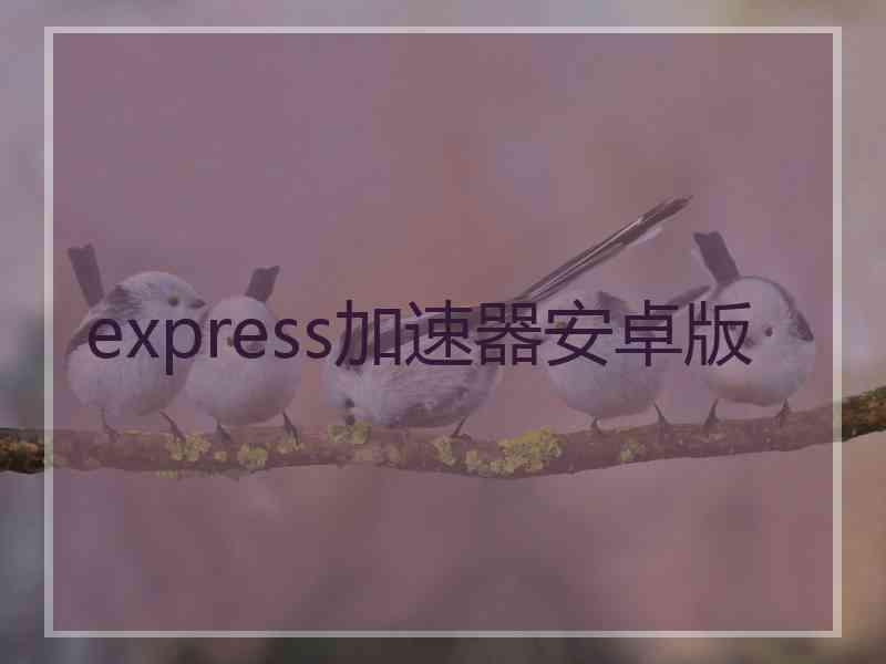 express加速器安卓版