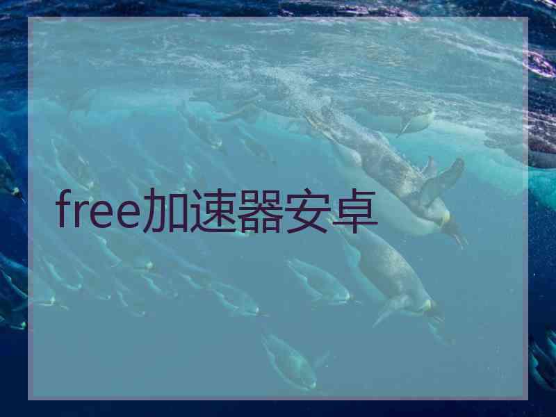 free加速器安卓