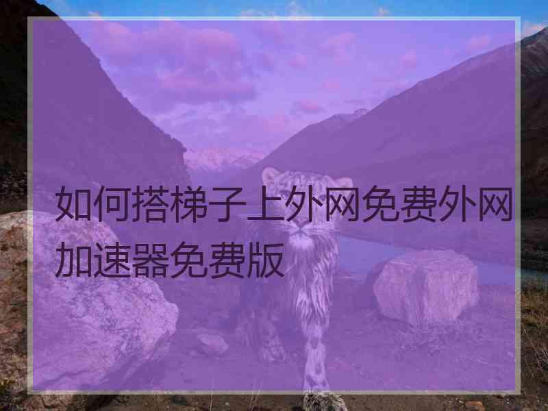 如何搭梯子上外网免费外网加速器免费版