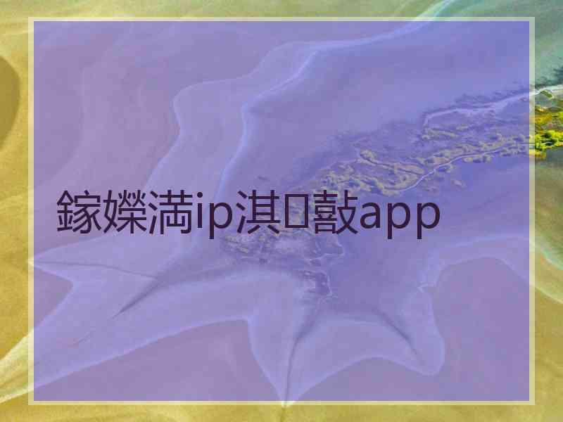 鎵嬫満ip淇敼app