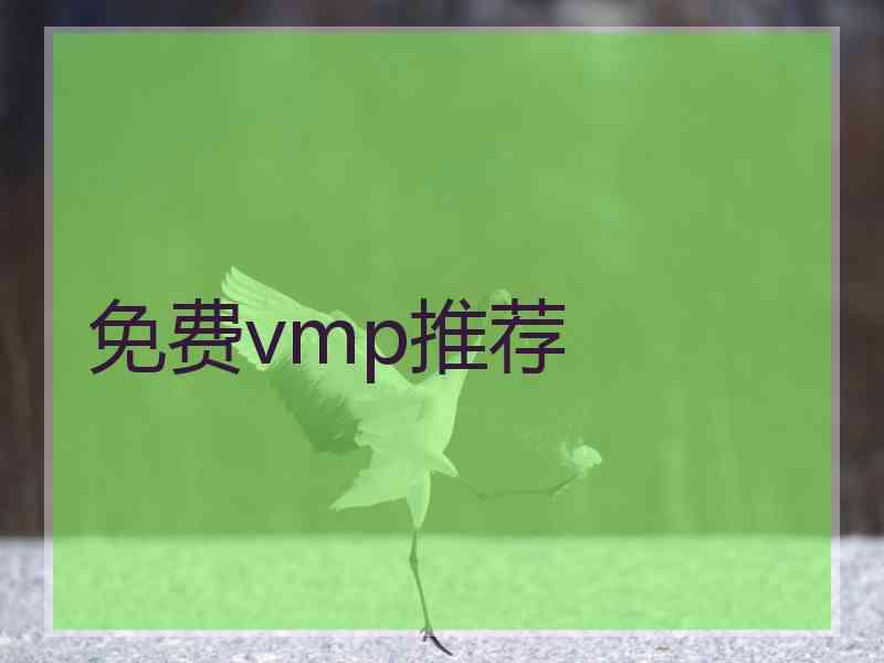 免费vmp推荐