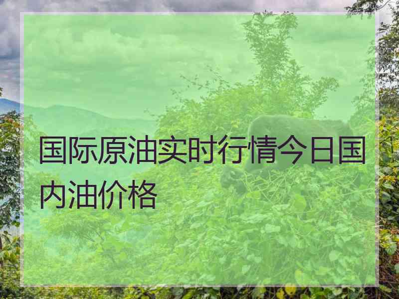 国际原油实时行情今日国内油价格