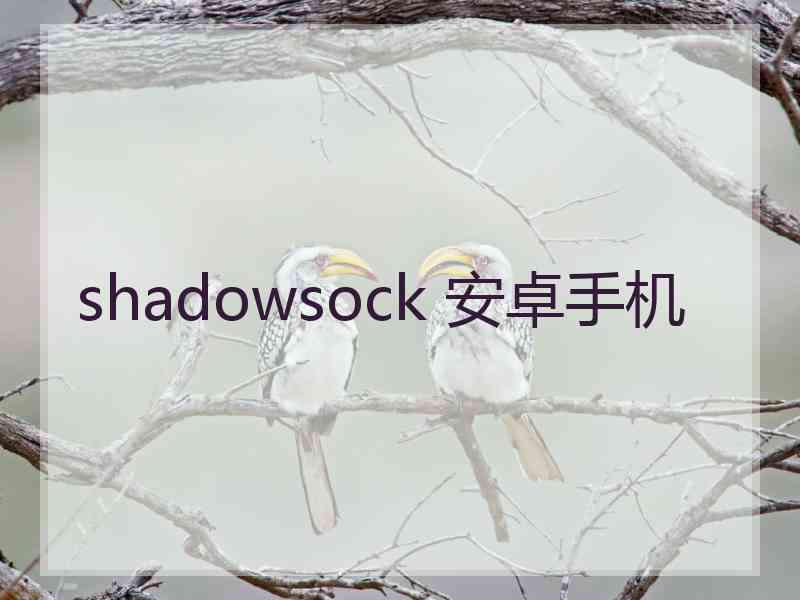 shadowsock 安卓手机