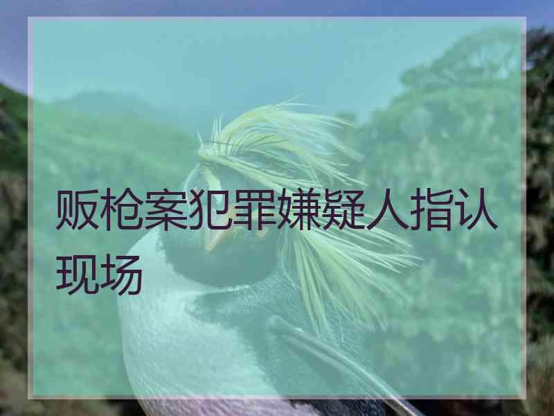 贩枪案犯罪嫌疑人指认现场