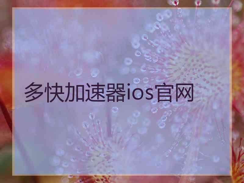 多快加速器ios官网