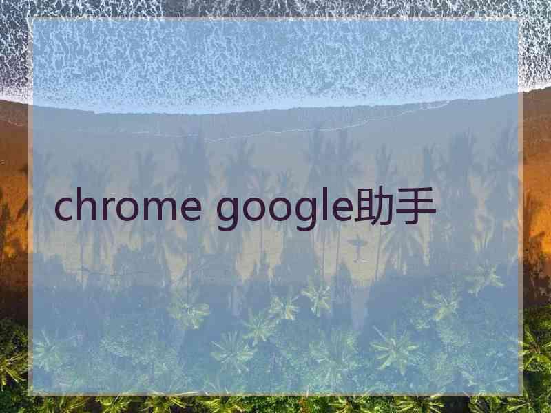 chrome google助手