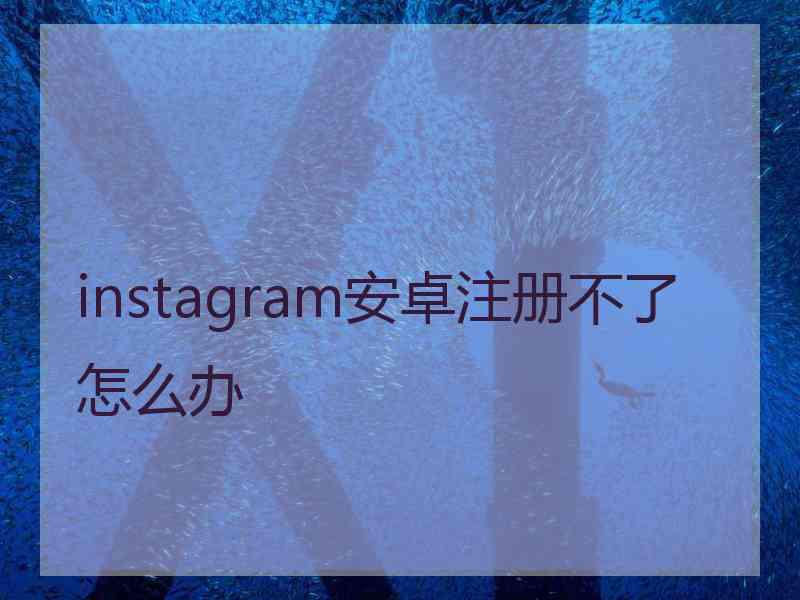 instagram安卓注册不了怎么办