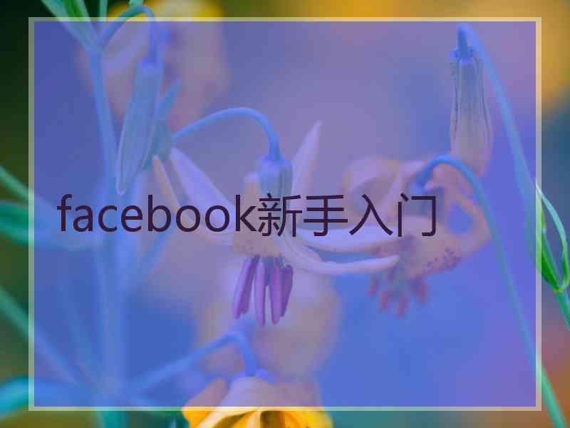 facebook新手入门