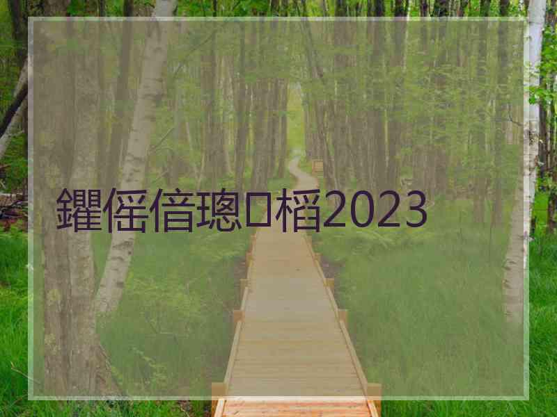 鑺傜偣璁㈤槄2023