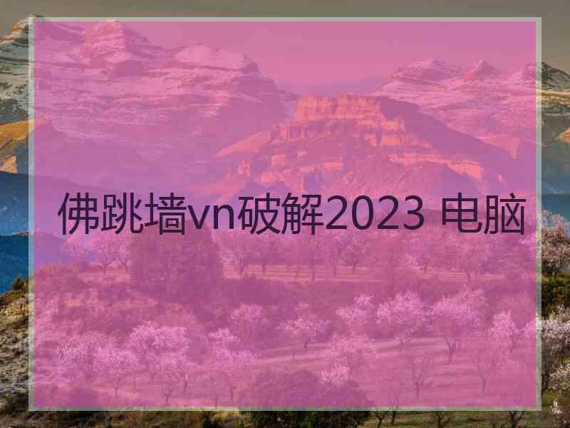 佛跳墙vn破解2023 电脑