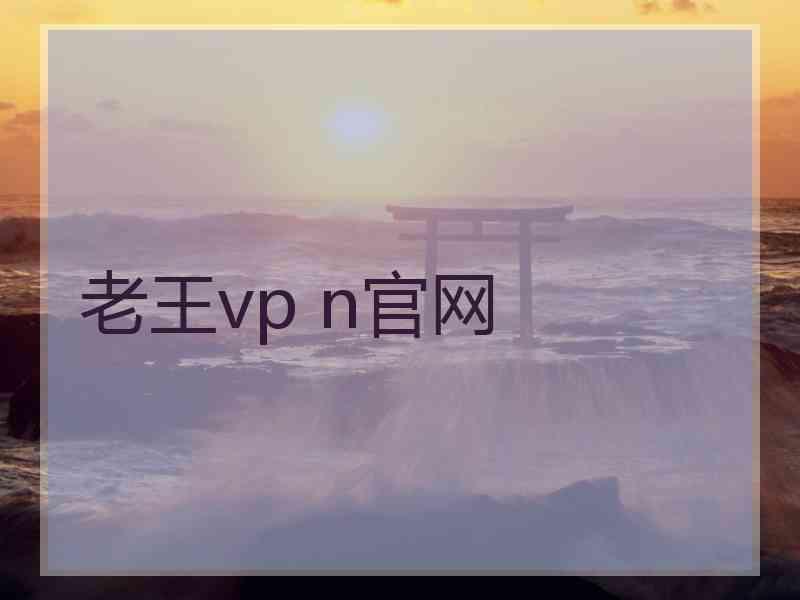 老王vp n官网