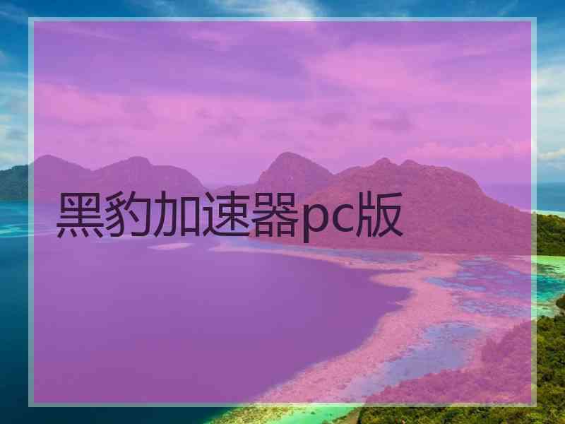 黑豹加速器pc版