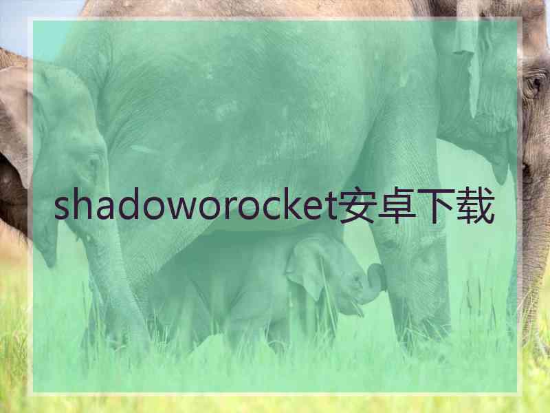 shadoworocket安卓下载