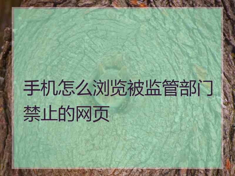 手机怎么浏览被监管部门禁止的网页