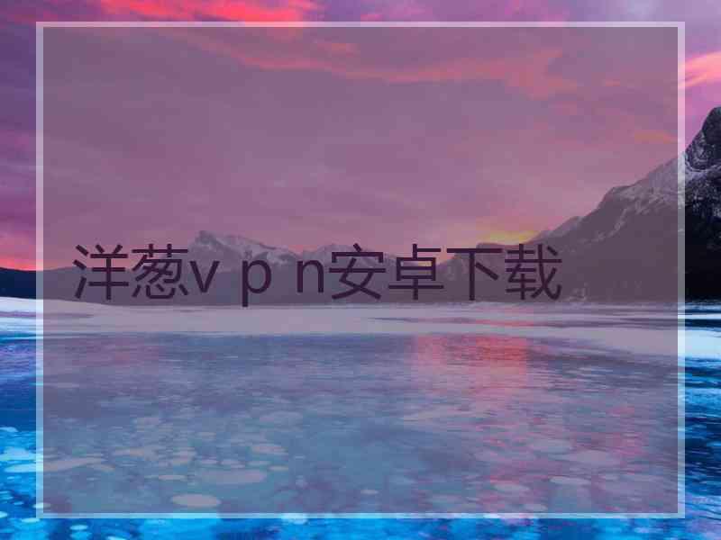 洋葱v p n安卓下载