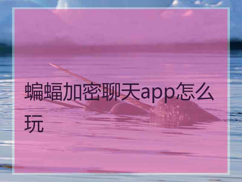 蝙蝠加密聊天app怎么玩