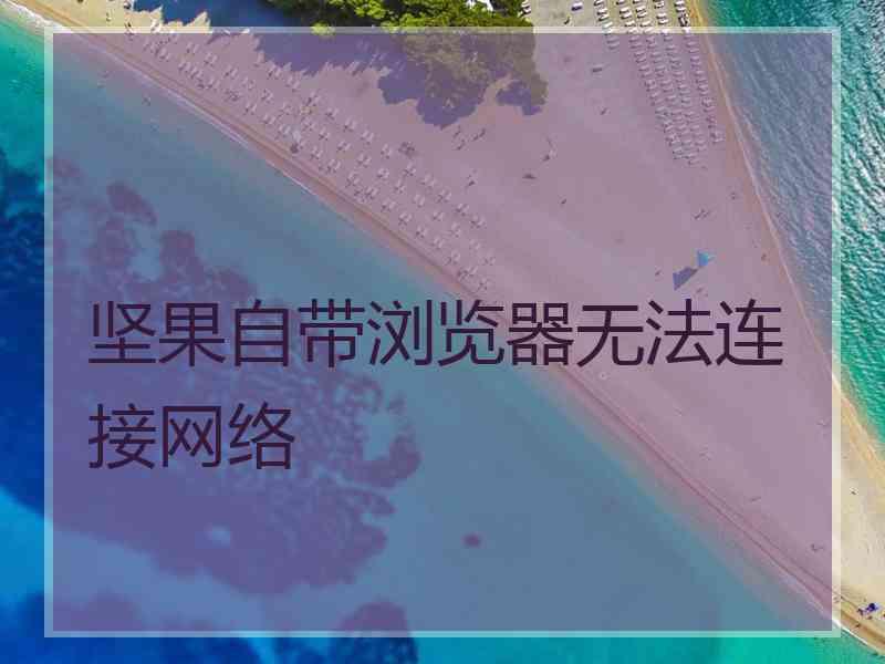 坚果自带浏览器无法连接网络