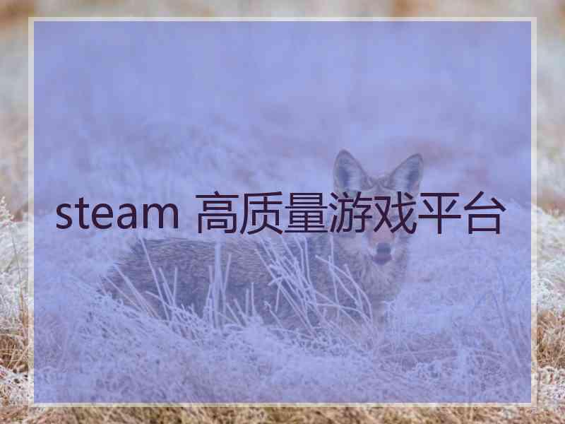 steam 高质量游戏平台