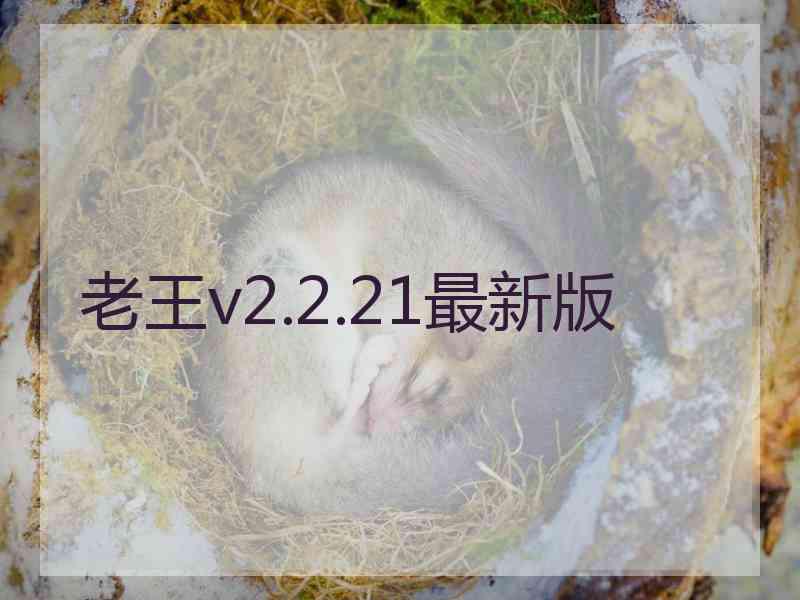 老王v2.2.21最新版