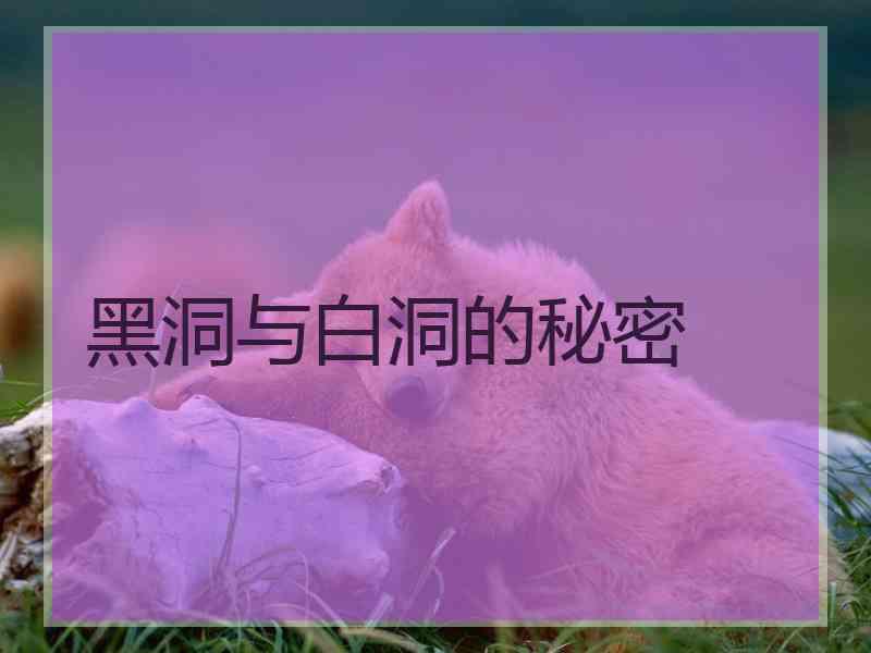 黑洞与白洞的秘密