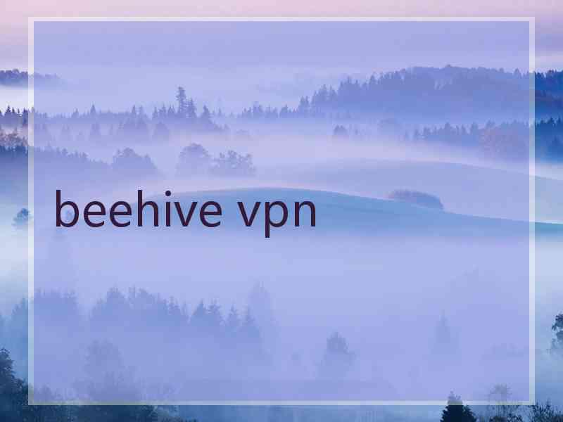 beehive vpn