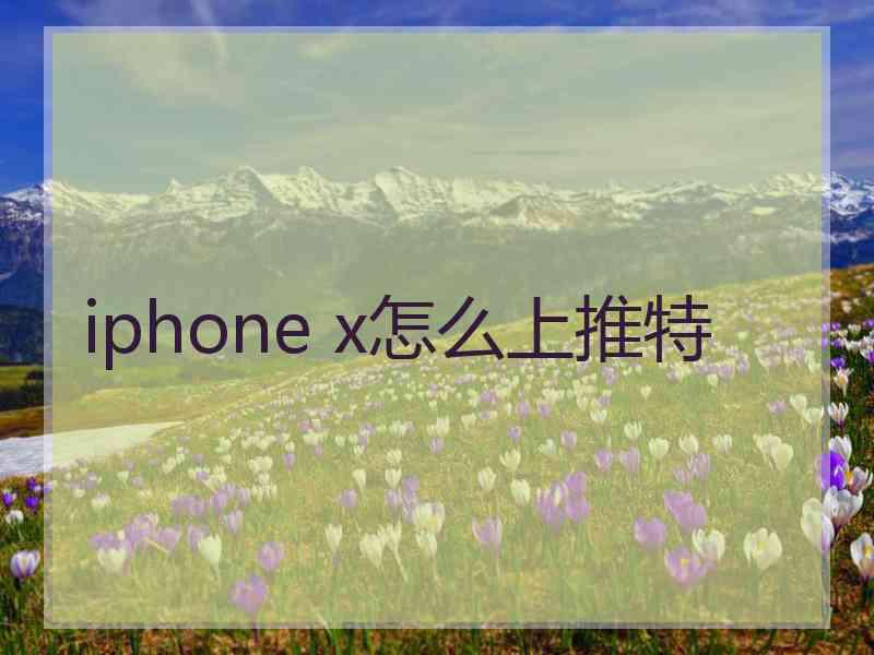 iphone x怎么上推特