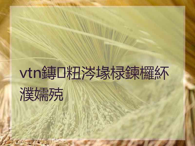 vtn鏄粈涔堟椂鍊欏紑濮嬬殑