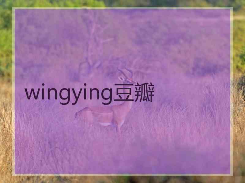 wingying豆瓣