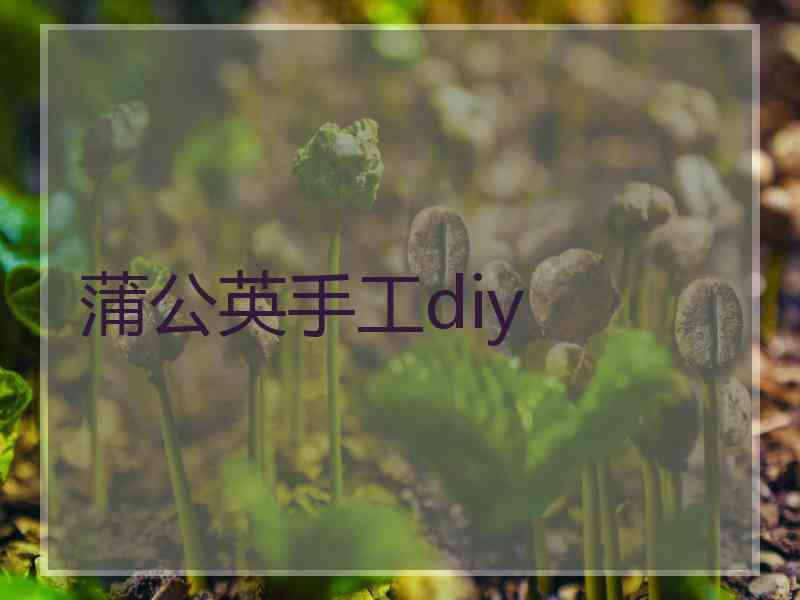 蒲公英手工diy