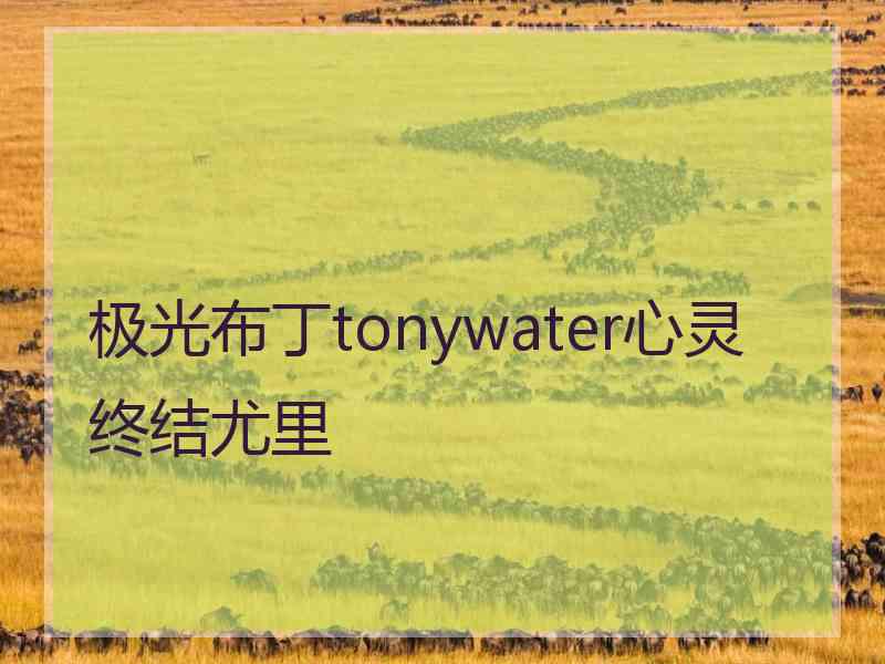 极光布丁tonywater心灵终结尤里