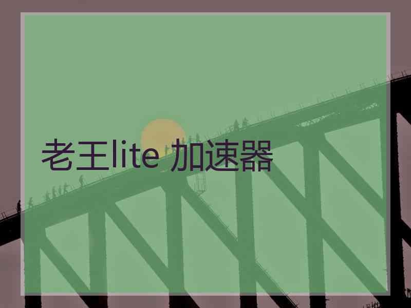 老王lite 加速器