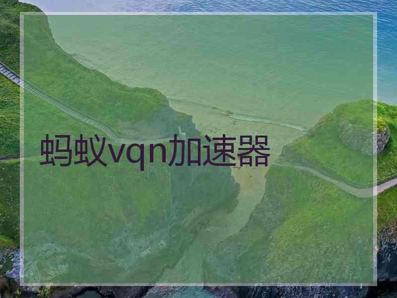 蚂蚁vqn加速器